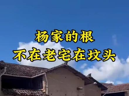 老杨家的根看完你就知道了
