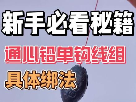 海钓通心铅单钩线组,新人必学!建议点赞收藏!【D】#钓鱼 #户外钓鱼 #实用小技巧 #钓鱼人 #爱生活爱钓鱼