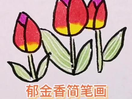 郁金香简笔画分享,春天到了,万物生长,是最美的季节了#画画 #简笔画 #春天你好