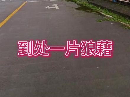321秒带你看桦加沙在阳江市合山镇的杀伤力