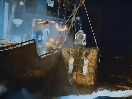 帝王蟹捕捞15,帝王蟹季完美收官 #纪录片 #帝王蟹 #雪蟹