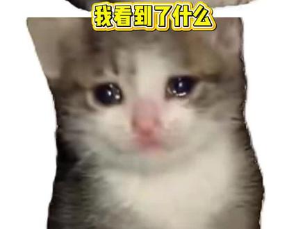 走过荆棘之路,以后只剩幸福 #防弹少年团 #bts #来时路 #kpop