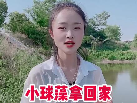 教你如何使用小球藻#水产养殖 #鱼虾蟹养殖