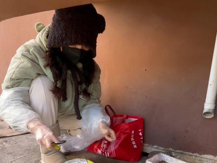 2026年1月11日,投喂流浪动物的第2959天。真正的善意,不仅是一时一地的投喂,更是考虑周全的责任。让我们用更科学、更文明的方式,共同维护环境的整洁与和谐,也为流浪猫创造更长远的福祉#我和流浪猫的故事#关爱流浪动物#流浪#流浪猫守护者#动物保护法立法