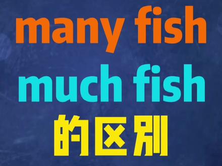 “many fish”与“much fish”的区别 #知识分享 #学浪计划 #英语语法 #学英语