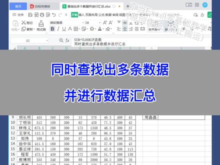 Excel:同时查找出多条数据,并进行数据汇总。#excel #wps #办公技巧 #知识分享 #电脑