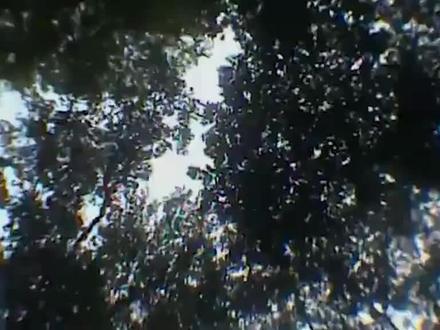 马来西亚新洗脑神曲🤣🤣🤣我爱你爱你像榴梿🤣🤣🤣#榴梿 #马来西亚 #洗脑神曲