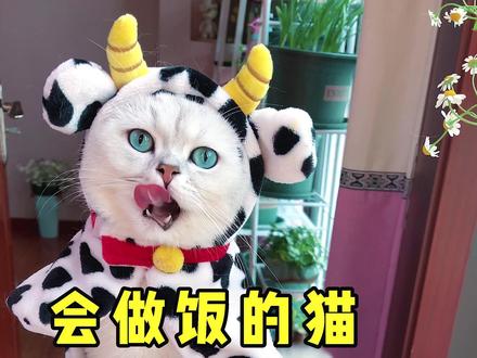 这猫竟然把草莓做成我吃不起的样子!你想谁做给你吃呢 #会做饭的猫 #2021新春日记 #萌宠新春出道@料理猫王