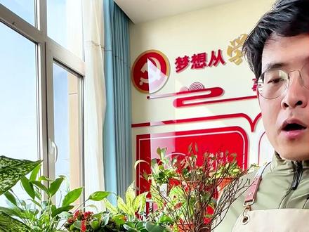 根都烂了,别再瞎闹了~ 家里赤楠突然黄叶、掉叶?大概率是根系出问题了!
视频里手把手教你判断烂根、急救修根,最后附超全养护贴士,新手也能轻松救回。
养赤楠避坑指南,收藏起来慢慢看~#赤楠养护 #绿植急救 #养花干货 #园艺新手 #盆栽