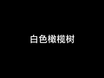 他被断指挑筋 舌尖缺失 多处骨折 精神极度崩溃 他仍然记得回去苍迪寺 去找他的女孩#白色橄榄树 #李瓒 #宋冉