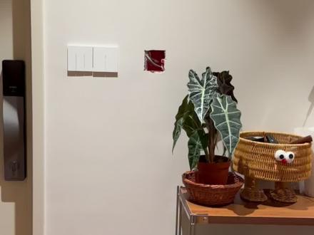 十元改造|家里空白的插座底盒先不要着急封 谁能想到平平无奇的插座盒,也是能打造出家中氛围感小神器
·
几块钱的微缩配件+闲置插座盒,铺料、摆件,不到半小时就能拥有「一按开关就亮灯」的微型小世界,快和我一起安排上叭~
#86盒改造 #电线盒 #手工diy #装修日记vlog #软装搭配