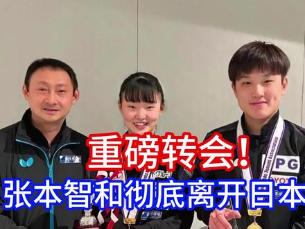 重磅转会!张本智和彻底离开日本乒坛