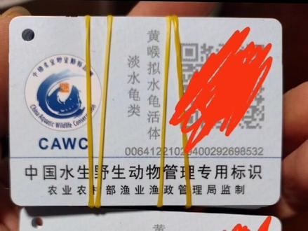 成功申领了乌龟标识!成为首批有标识的养龟人#合法养殖 #养龟人
