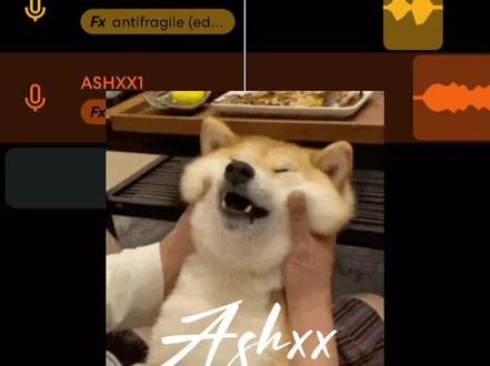 回复 @Greyson的评论 #antifragile #lesserafim #宫脇咲良 #中村一叶 #bandlab 这首歌确实好听 想唱很久了 就是词有点烫嘴 呜呜 妹宝那句显得我很呆 金采源 洪恩採 许允真