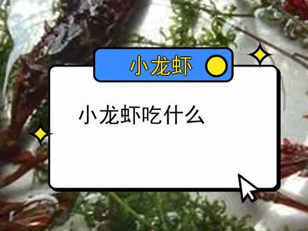 小龙虾吃什么