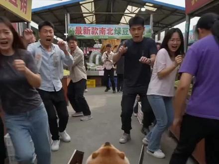 带刀盾狗处理蜘蛛耄耋 #瓜子二手车 #我的刀盾 #抽象 #哈基米 #ai创作浪潮计划