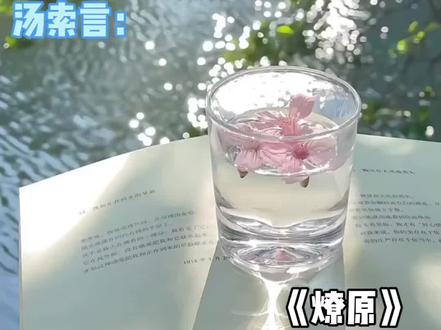 给我们晓东气坏了#燎原 #汤索言陶晓东