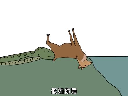 假如你是森蚺 #动物科普 #森蚺