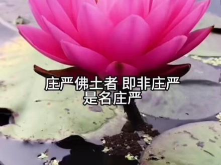 #罗林#如是我闻(上)1-13品 #刀郎金刚经 #清唱版