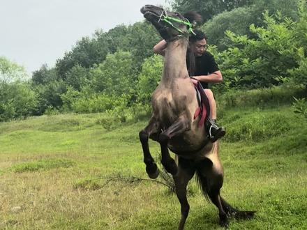 我们越不过岁月这座大山!