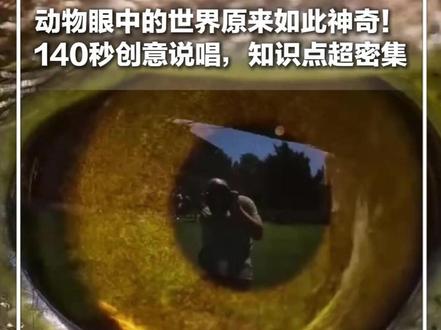 #每日趣闻 |动物眼中的世界原来如此神奇! 140秒创意说唱,知识点超密集 我在蚊子眼中是一帧一帧的,难怪打不到 #新华每日电讯