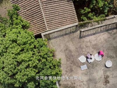 四方食事,不过一碗人间烟火#广东东莞 #蕉芋 #蕉芋鸡蛋水 #蕉芋粉丝 #蕉芋粉 #抖音美食推荐官@DOU+小助手