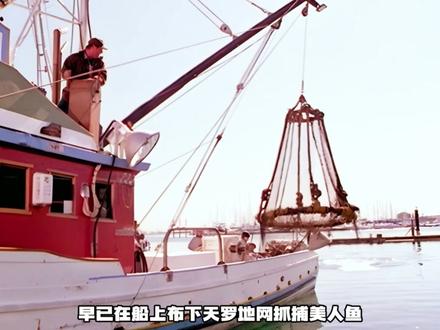 男孩身上突然长出鱼鳍 #我的观影报告 #电影解说 #小美男鱼