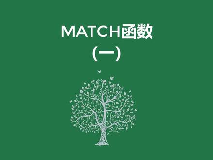 match函数 #excel技巧