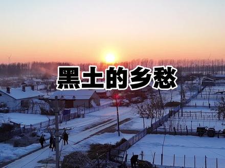 黑土的乡愁,带着闷在胸腔里的低吼,喊不出,闷得只能把故乡的名字嚼碎咽回肚里,这呐喊,一闷就是一整个冬#乡村记忆 #故乡情怀 #自然风景