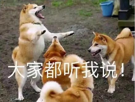 《装机封神榜之我的狠人爷爷》#电脑 #电脑数码 #diy电脑