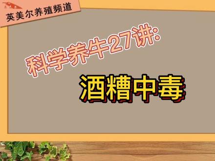 科学养牛第27讲:酒糟中毒如何治疗