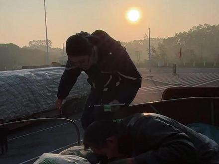 南横眼镜妹的“高速绿通小攻略”上线啦!还有啥疑问或不懂的评论区聊聊。#绿通政策 #高速公路 #南横高速 #收费员小姐姐 #工作日常