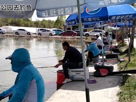 甘肃临洮(西湖公园)貂蝉湖去钓鱼【临洮拍客】@西瓜视频 #临洮 #快乐垂钓 #钓鱼爱好者 #旅游推荐官