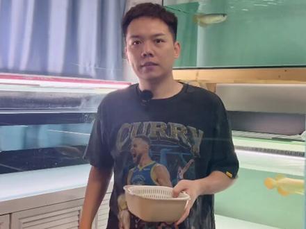 龙鱼吃食嚼嚼吐吐怎么办?小问题我来教你轻松解决。视频最后是重点别划走#养鱼日记 #龙鱼 #红龙 #巴古斯红龙 #淇龙水族 #龙鱼饲养教程 #龙缸