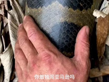 地球上最危险的地方 #亚马逊雨林 #纪录片 #内容启发搜索