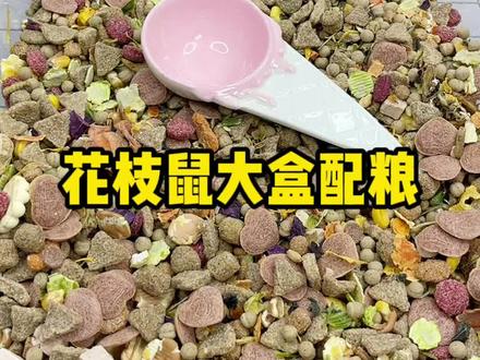 花枝鼠们配粮啦!能数的清多少种吗~好丰盛!#仓鼠 #花枝鼠