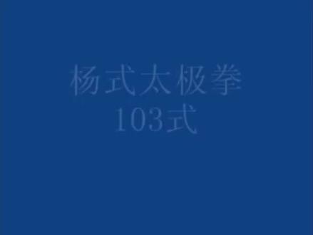 杨军老师演示传统杨氏太极拳103式带口令