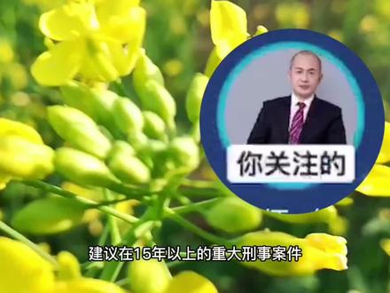 謝律客观理性不凡睿智回答网友提问