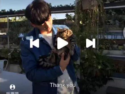 #王安宇宝藏男孩#王安宇 笑死了 王安宇的Are you ok好上头哈哈哈哈哈哈哈 果然互联网是有记忆的