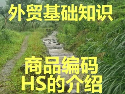 商品HS编码的基本介绍,外贸出口,跨境电商必备#外贸#跨境电商 #知识分享