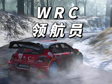 为什么拉力赛事都有领航员呢? #wrc #拉力赛 #赛车
