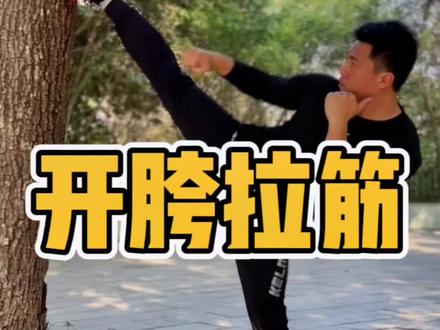 胯开了侧踹鞭腿后摆腿才能踢的高!#基本功 #开胯#韧带拉伸 #拳霸之路