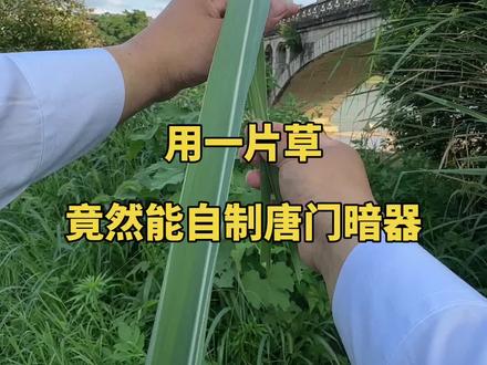 用一片草竟然能自制唐门暗器