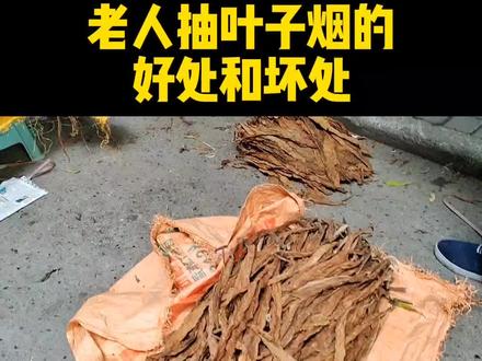 老年人抽叶子烟是好处多还是坏处多?请看专家的建议,少抽为宜 #老年人抽叶子烟 #长寿秘诀 #三农