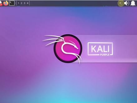 kali linux查看IP地址的几种方法 #linux命令 #kali