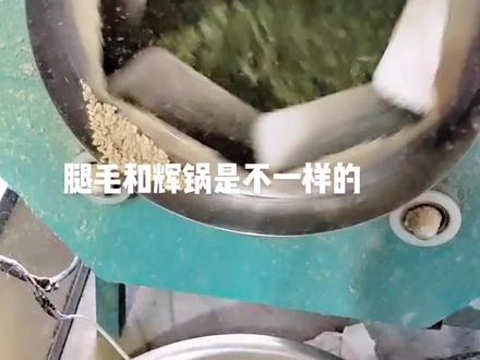 有人问我做辉锅是在干嘛?做辉锅就是可以把茶叶变得香香的。有厉害的大师可以给我分享一下#与茶相伴的日子 #爱喝茶的关注我 #茶 #春茶上市