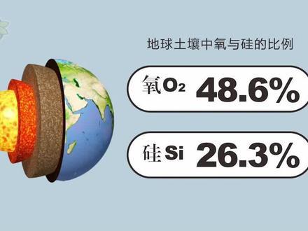 硅元素对植物有哪些作用?#微新生物#肥料新知识#肥料#蔬菜种植#硅肥