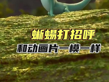 我就说动画片里演的都是真的 #动画片 #动漫 #蜥蜴 #异宠 #动物