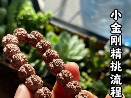 小金刚精挑流程分享 两遍下水精挑,只为一条好串#金刚菩提 #小金刚 #老树梅花 #文玩手串