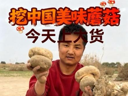 这就是大自然一方水土养育一方人#分享家乡特产 #大美新疆欢迎你 #中国美味蘑菇 #强烈推荐 #大自然的馈赠